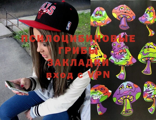 круглые Алзамай