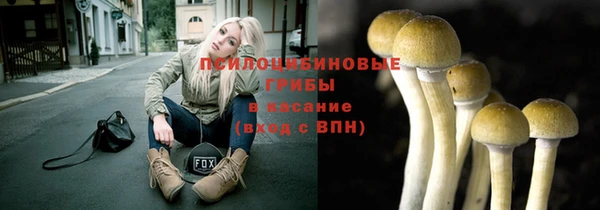 круглые Алзамай