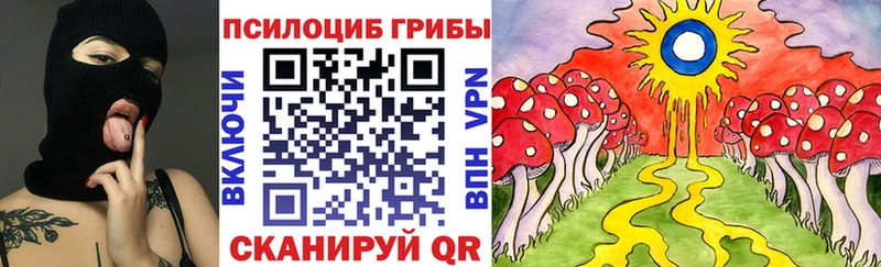 Галлюциногенные грибы Psilocybe  Берёзовка 